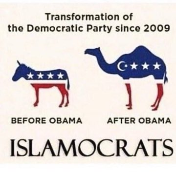 234 Genius tweet media