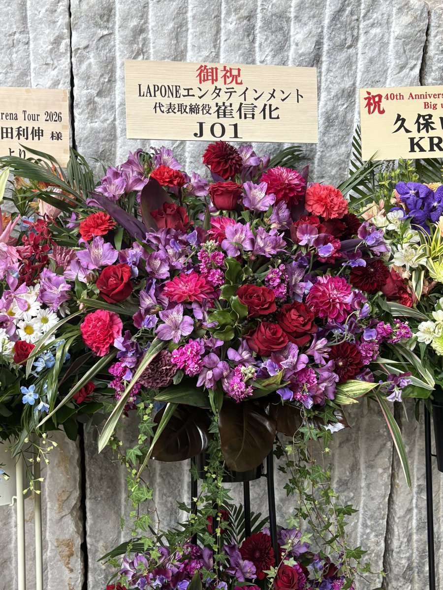 ズミ・ジョヴォヴィッチ tweet media