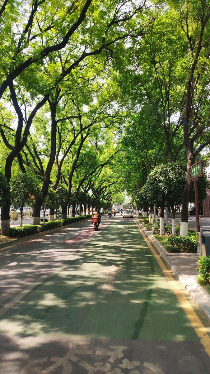 يرفض tweet media