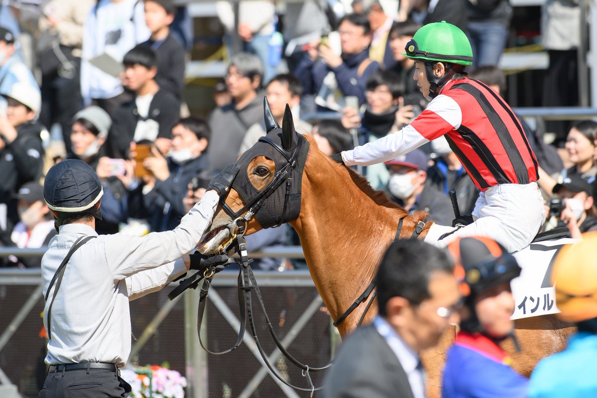 ใใ๐ซง๐ชผ tweet media