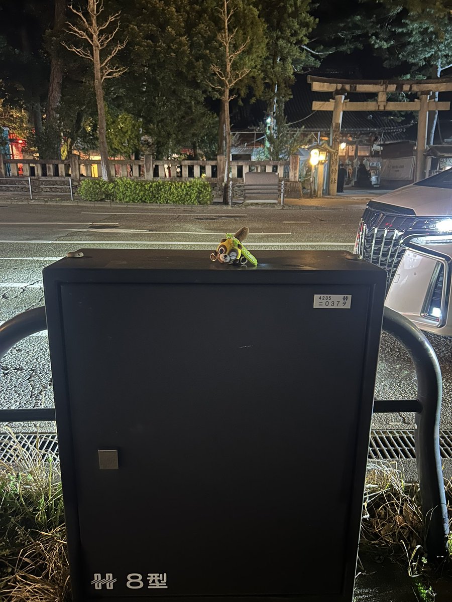 ⚡︎椎葉-しいば- tweet media