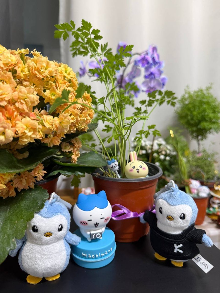 🍒Cherrycoco tweet media