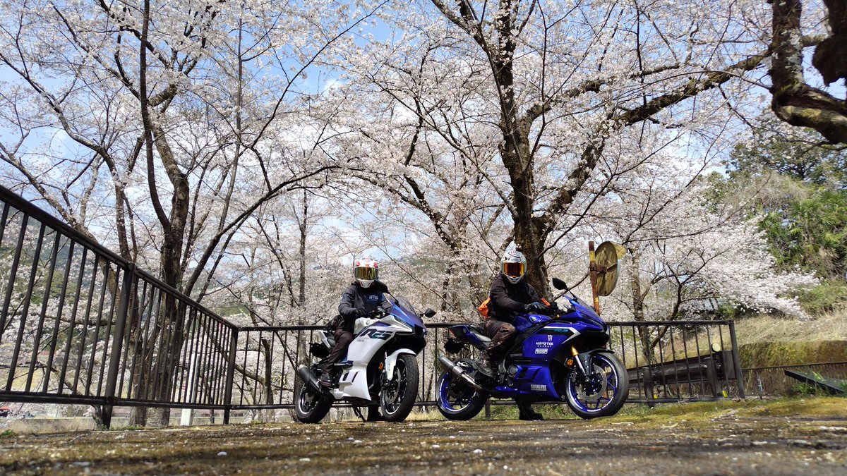 ninninz1000 tweet media