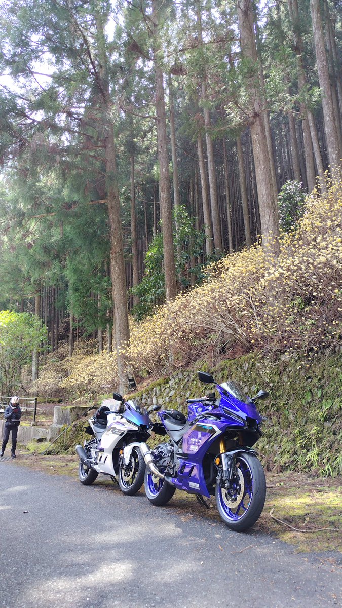 ninninz1000 tweet media