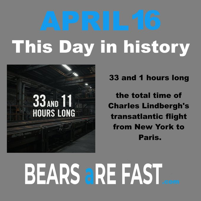 Bears Are Fast tweet media