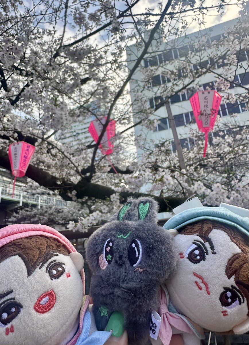 paruka‎ tweet media