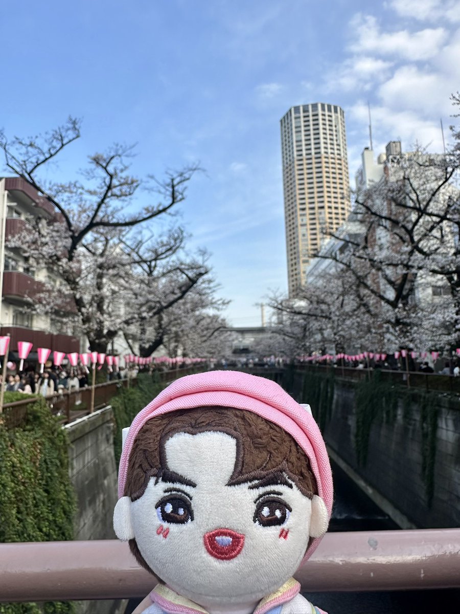 paruka‎ tweet media