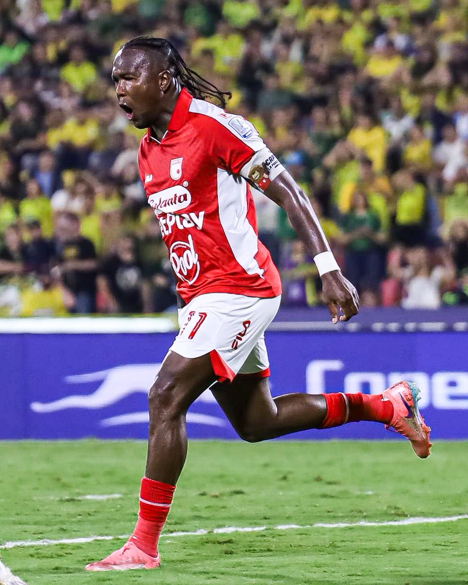 🕷️ CISF 🇮🇩 tweet media