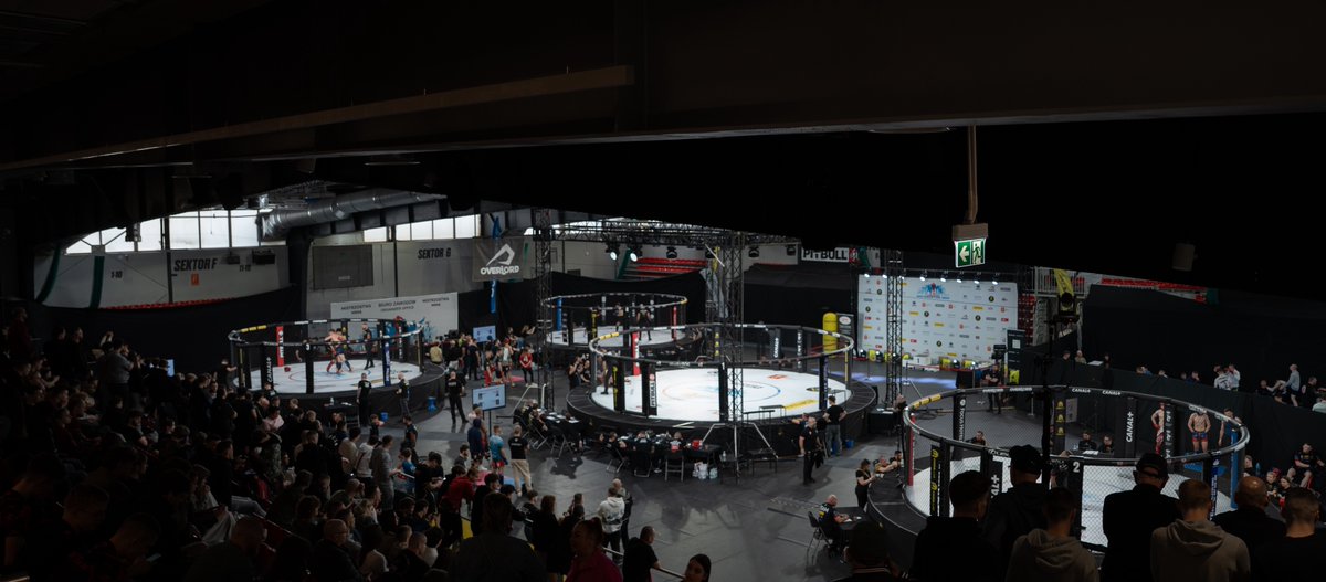 mmapolska_org tweet media