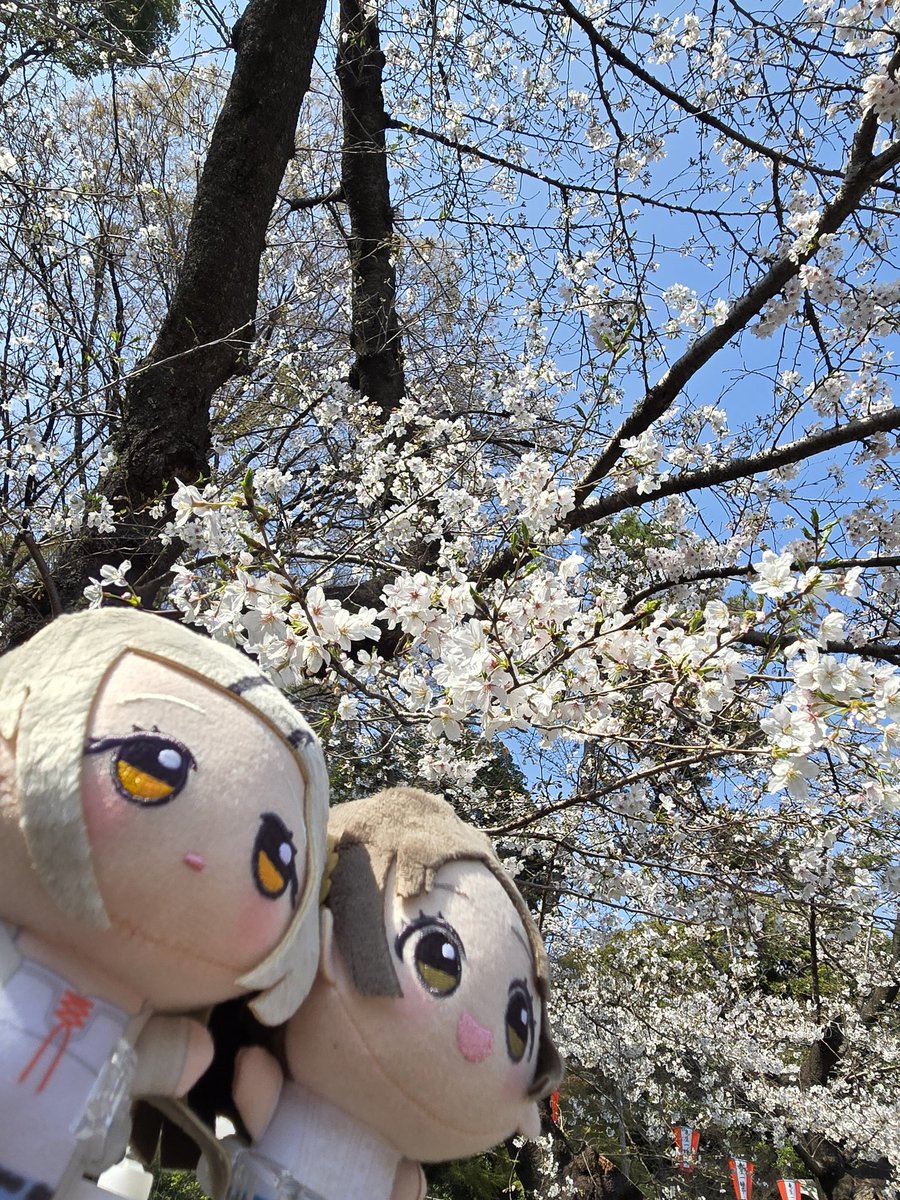 ツキカゲ tweet media