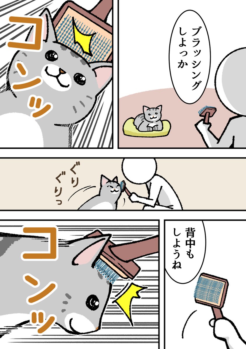 猫野ししゃも(1巻お届けチャレンジ中） tweet media