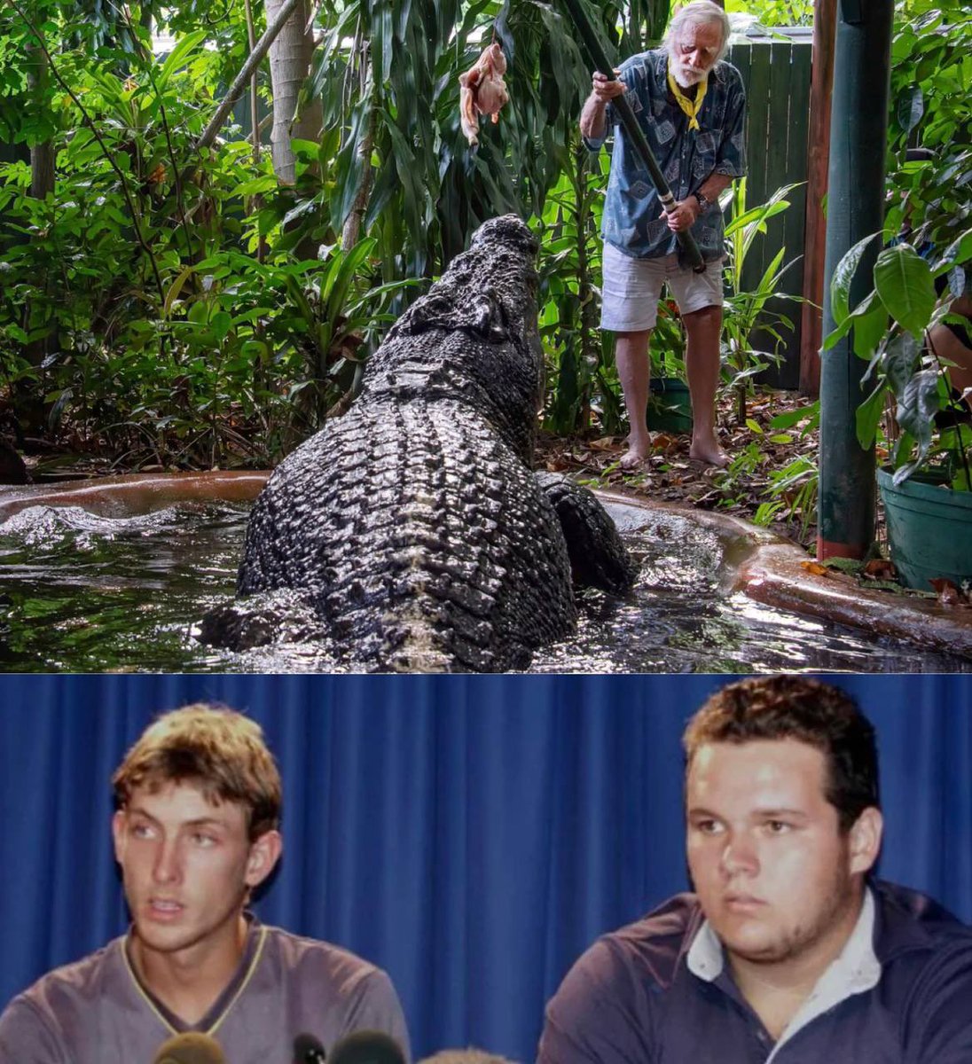 Morbid Knowledge tweet media