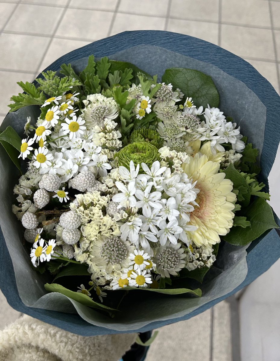 川越麻弓 mayumi kawagoe tweet media