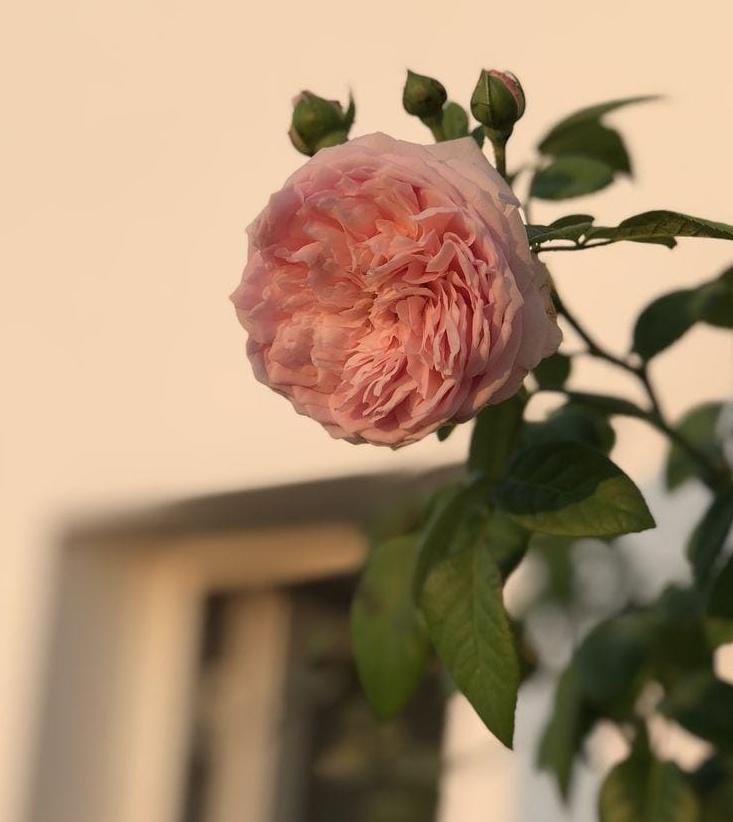 Maria Sial tweet media