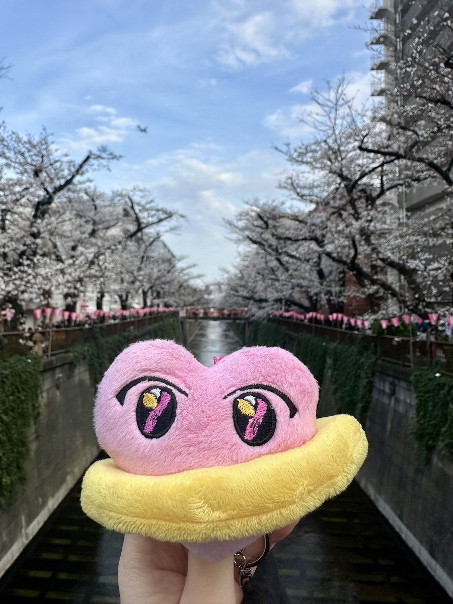 paruka‎ tweet media