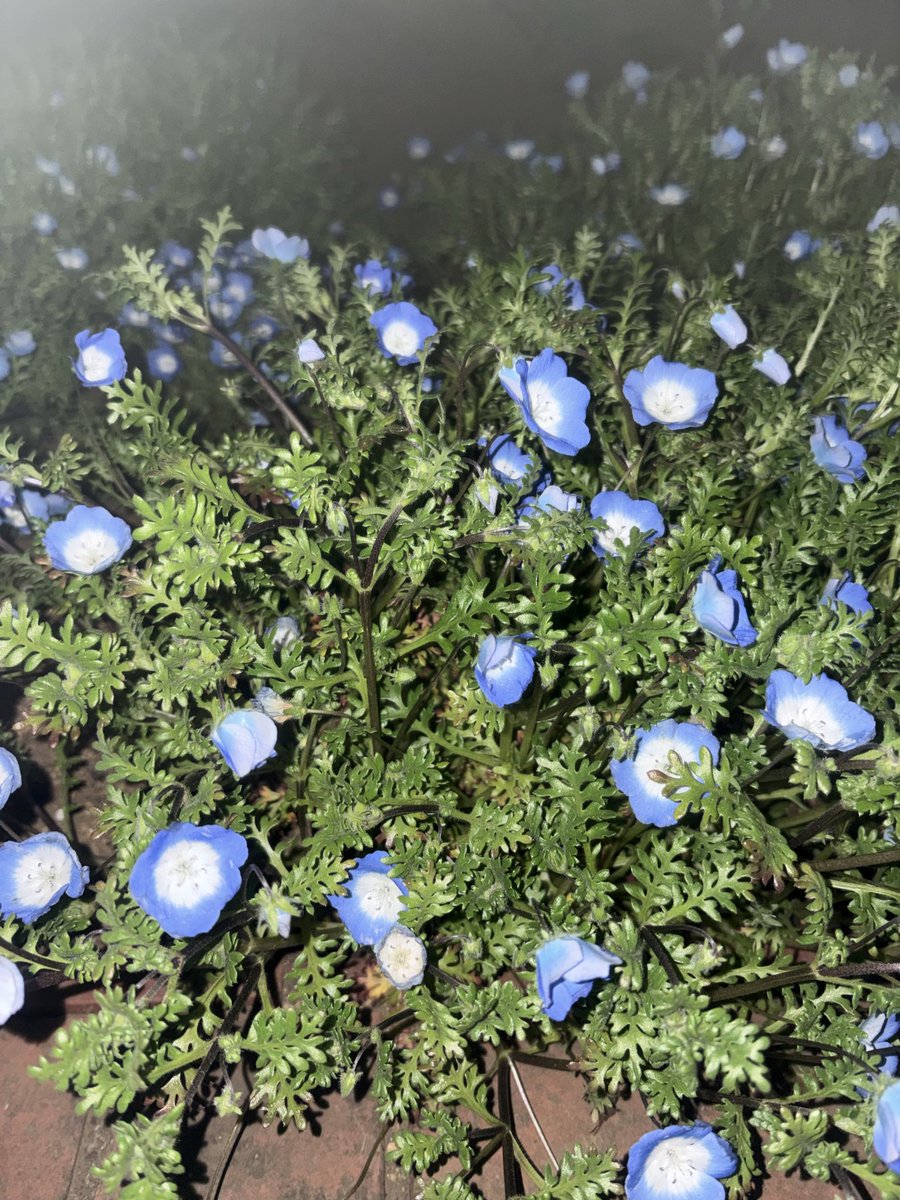 RYU @No Control tweet media