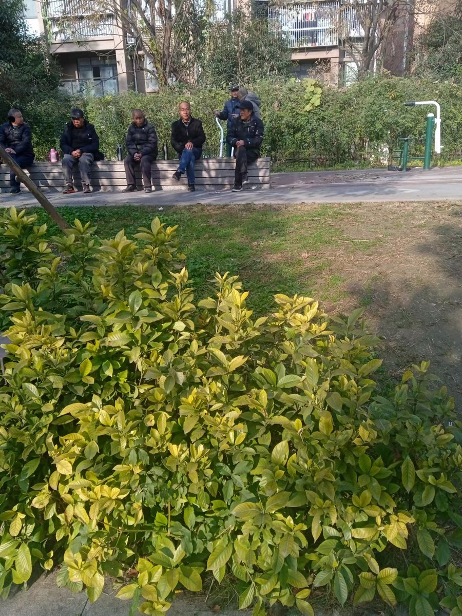 Łukasz Witkowski tweet media