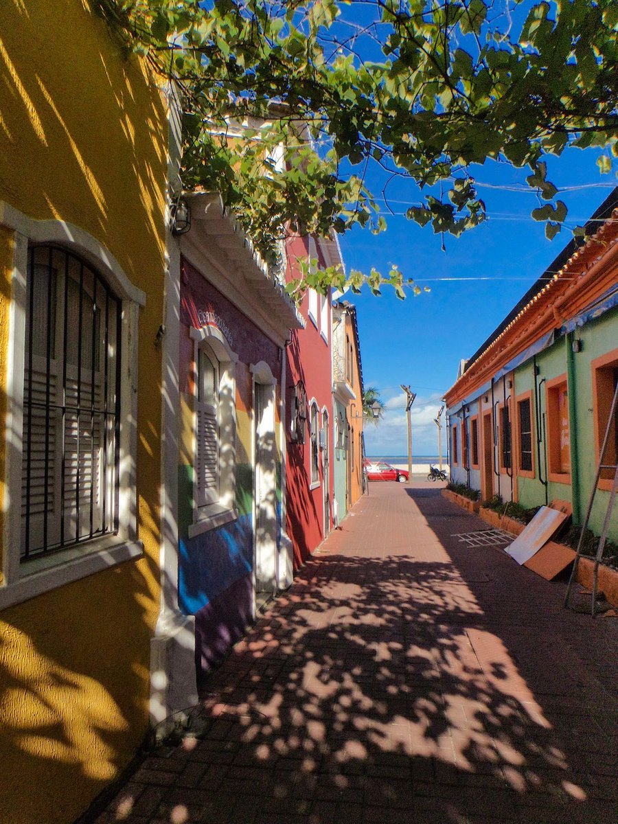 novaworld✨ tweet media