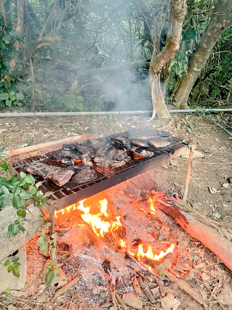 軽ちゃん tweet media