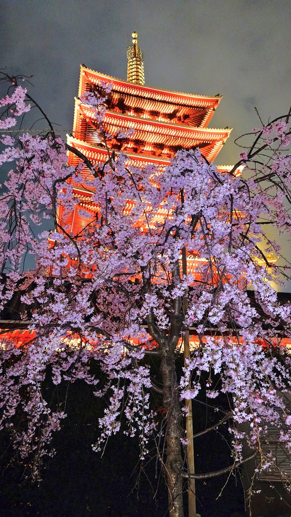 ふれんじ tweet media