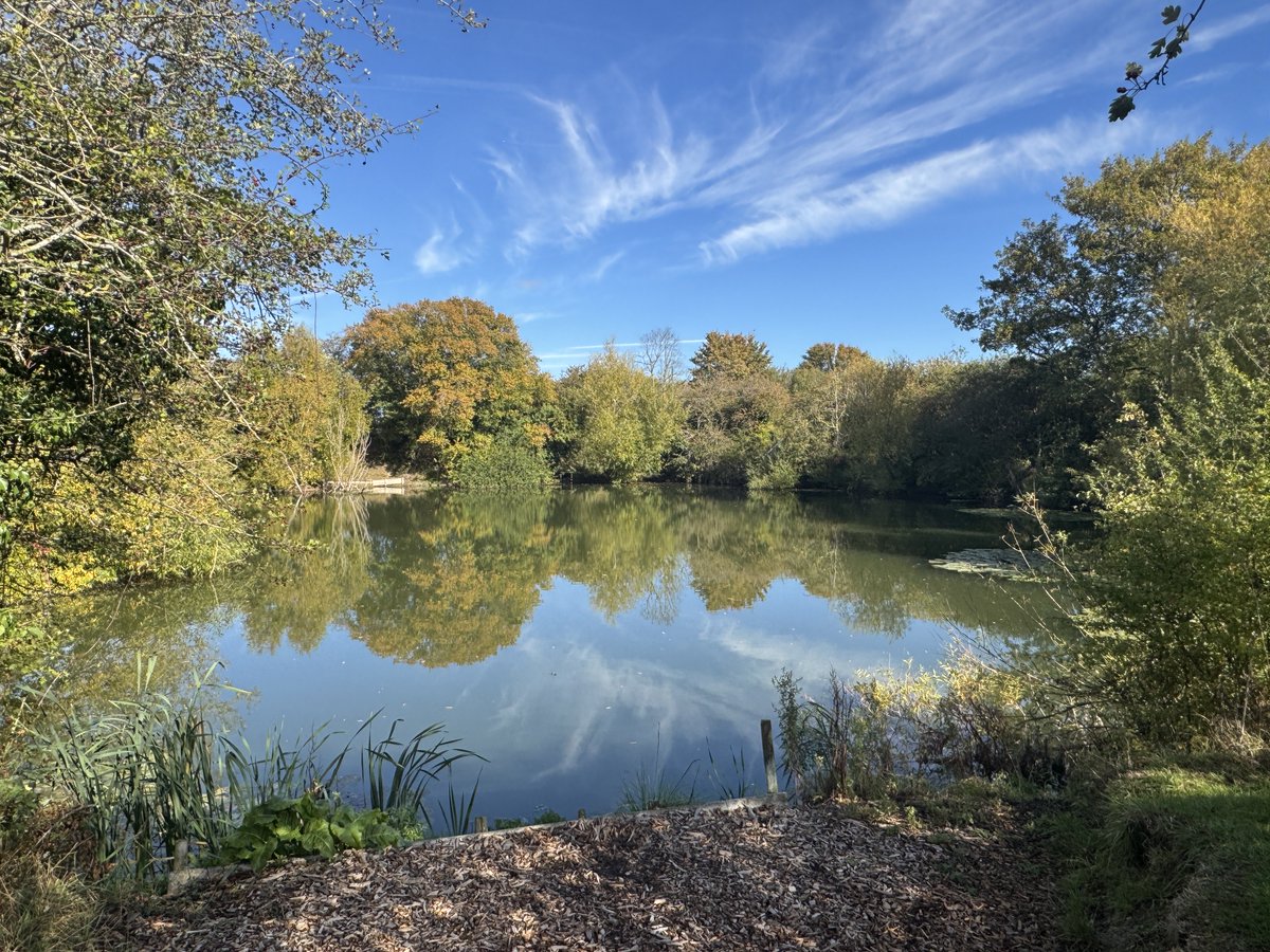 William Barker tweet media