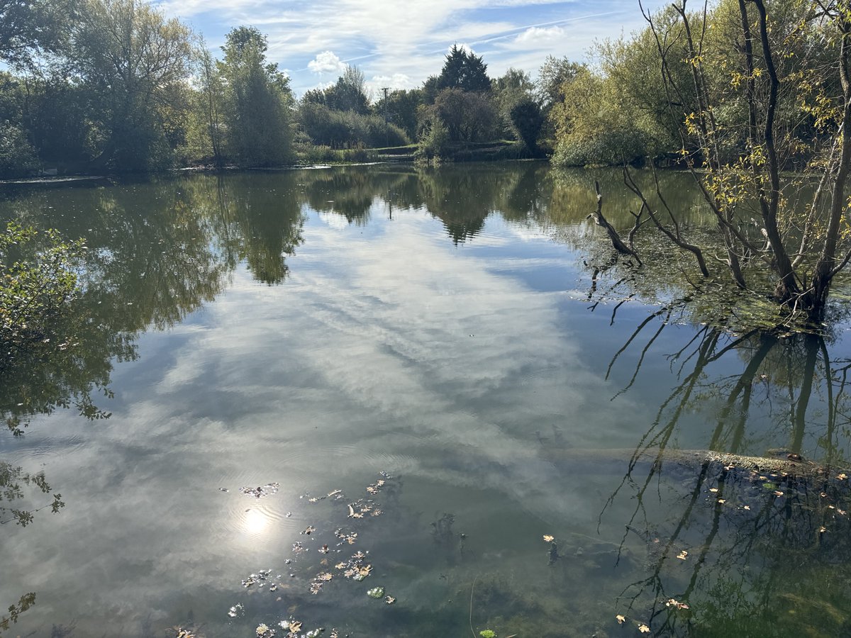 William Barker tweet media