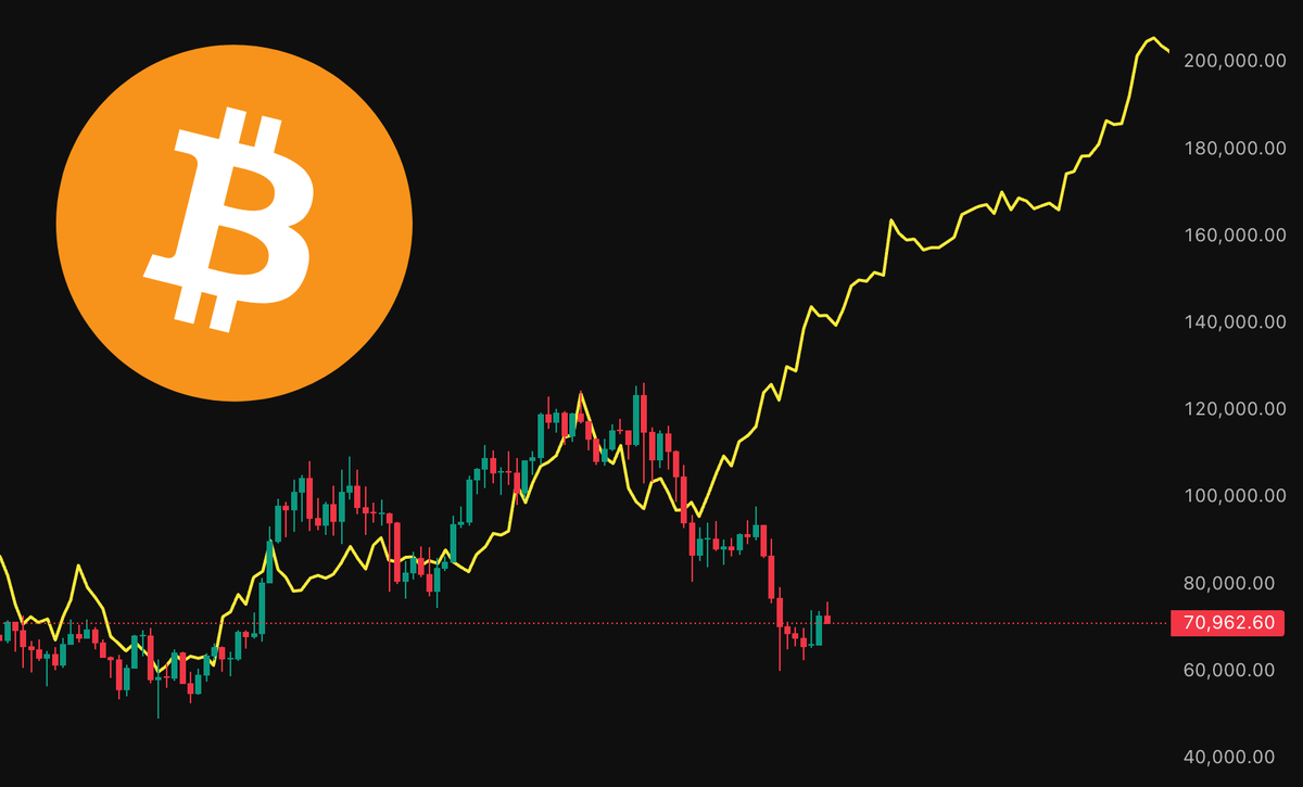 Bitcoin Teddy tweet media