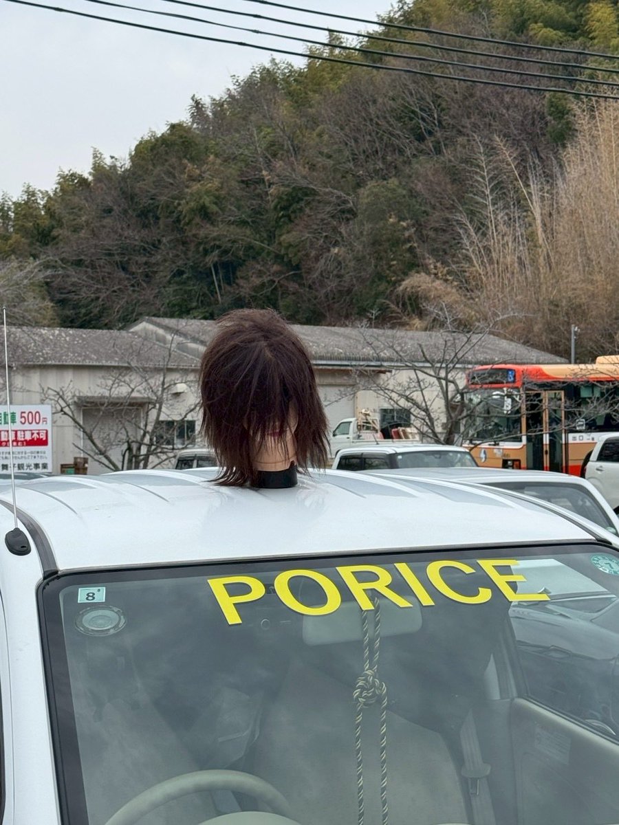 ポライスの日常 tweet media