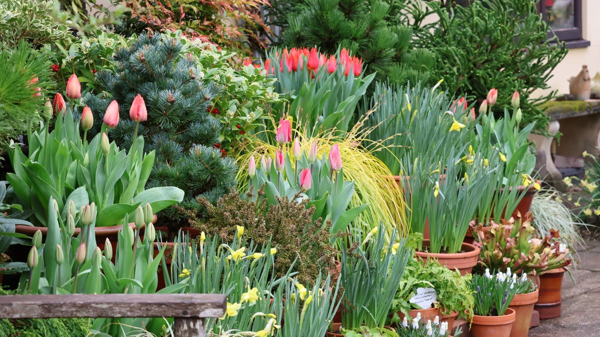 Chris Howell tweet media