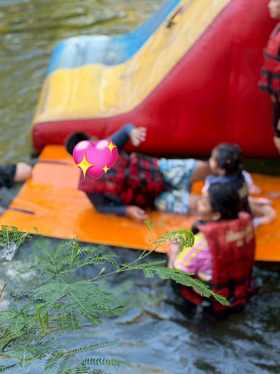 PALM 🐰🦆 OhAe tweet media