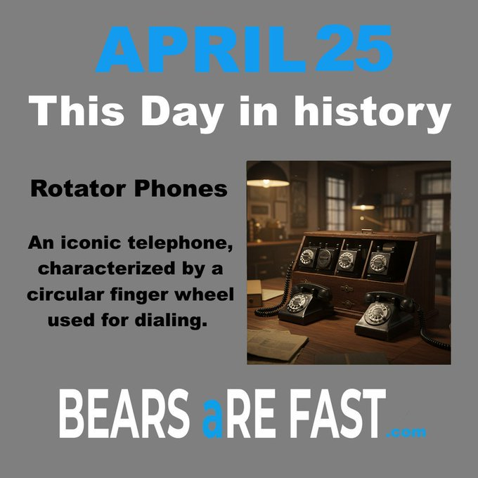 Bears Are Fast tweet media