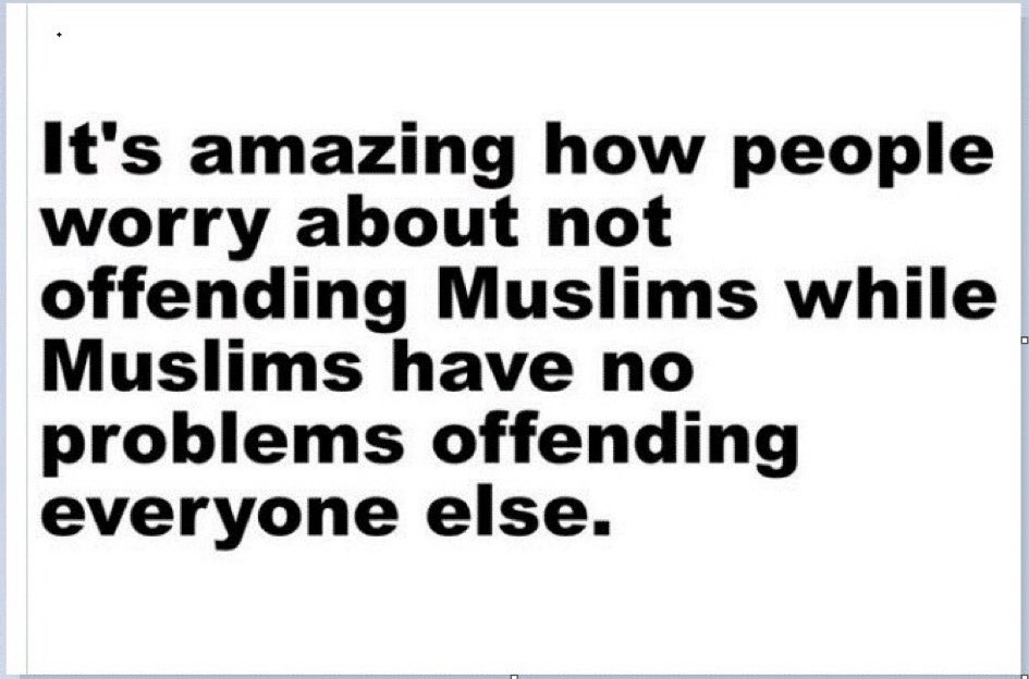 The Lion Report tweet media