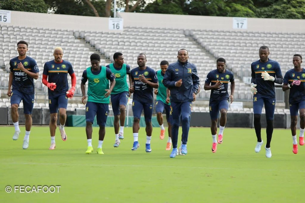 AllezLesLions tweet media