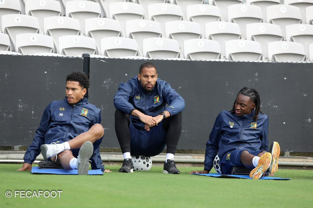 AllezLesLions tweet media