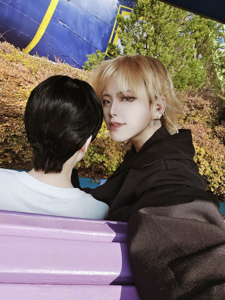 🐯TORA🐯 tweet media