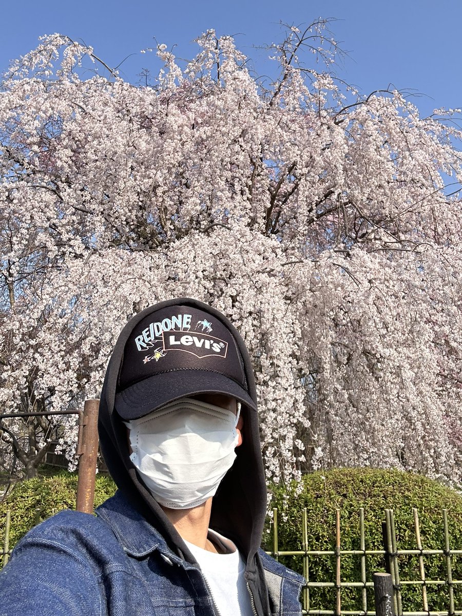 Dsk69you's tweet image. 桜見てきた🌸

時間が経つのは早ぇな〜。

 #アメカジ #桜 #京都