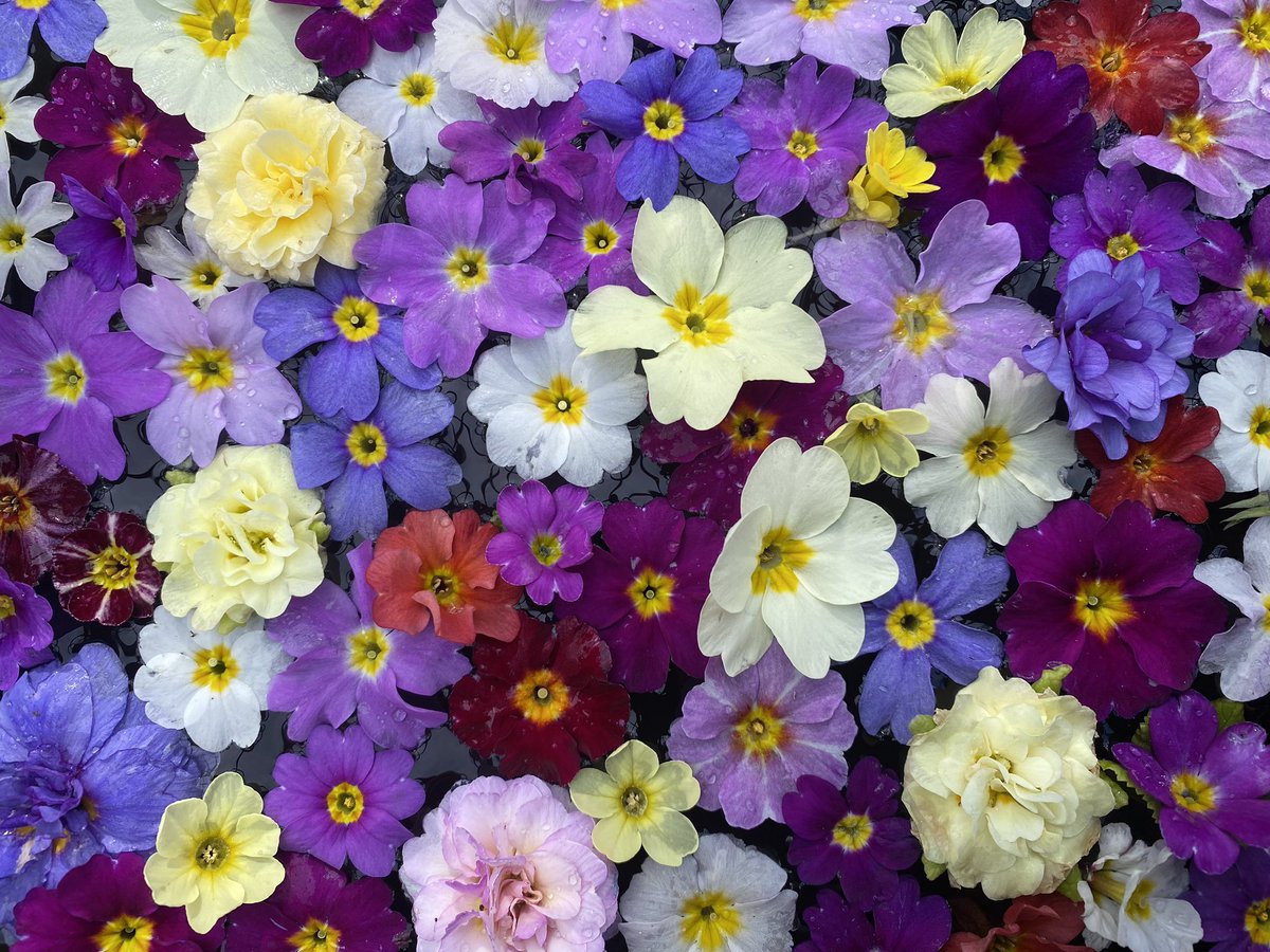 Michael Myers tweet media