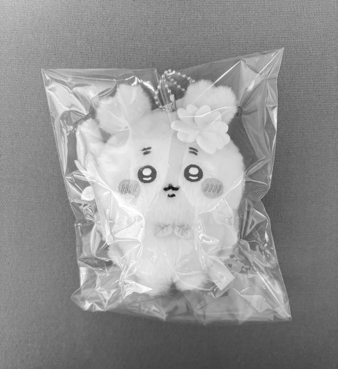 𝙤𝙘𝙝𝙖 tweet media