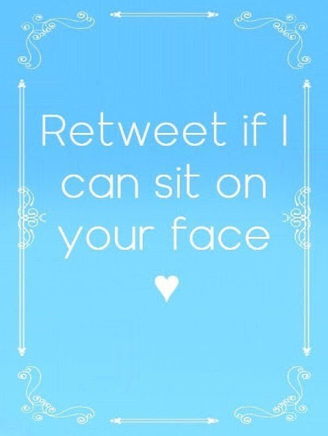 Pokéwives harem tweet media