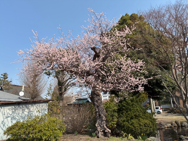 最底舎＠OldManZine Maker tweet media