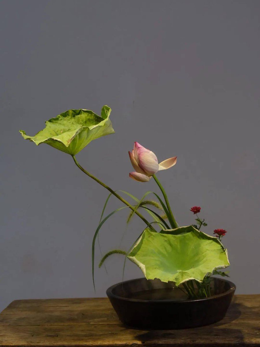 Kevin Vaughan tweet media