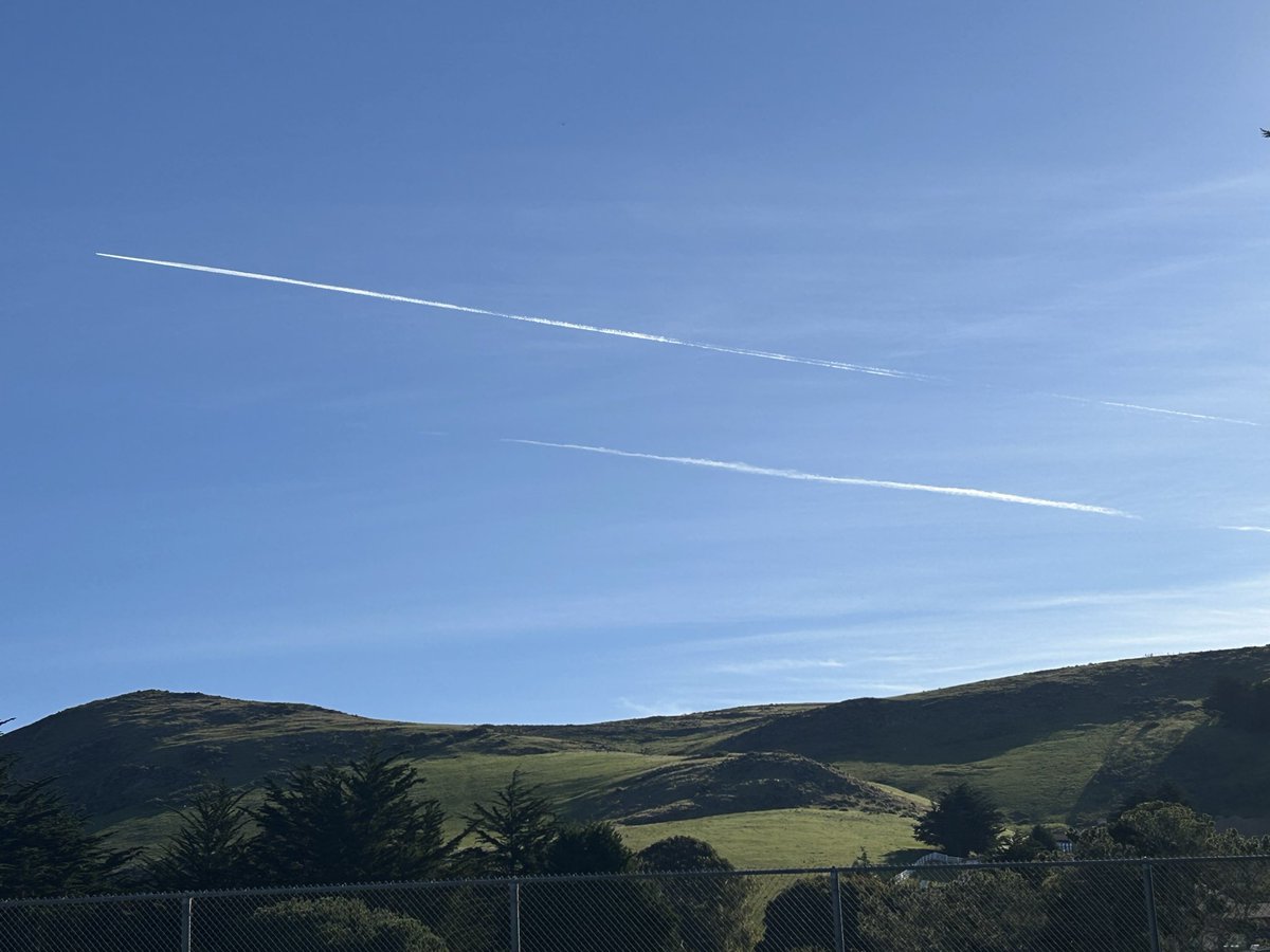 JaniceOne tweet media