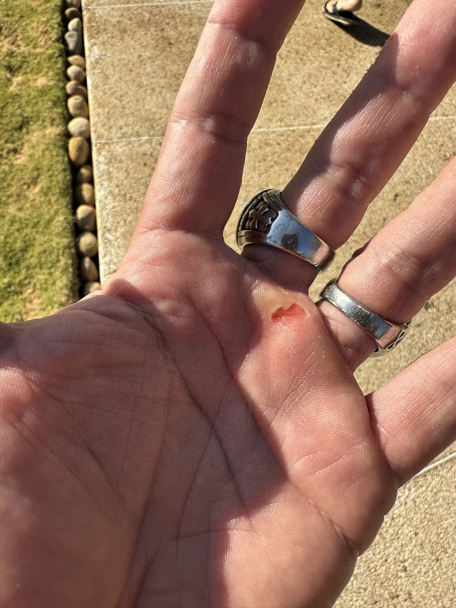 El guaro tweet media