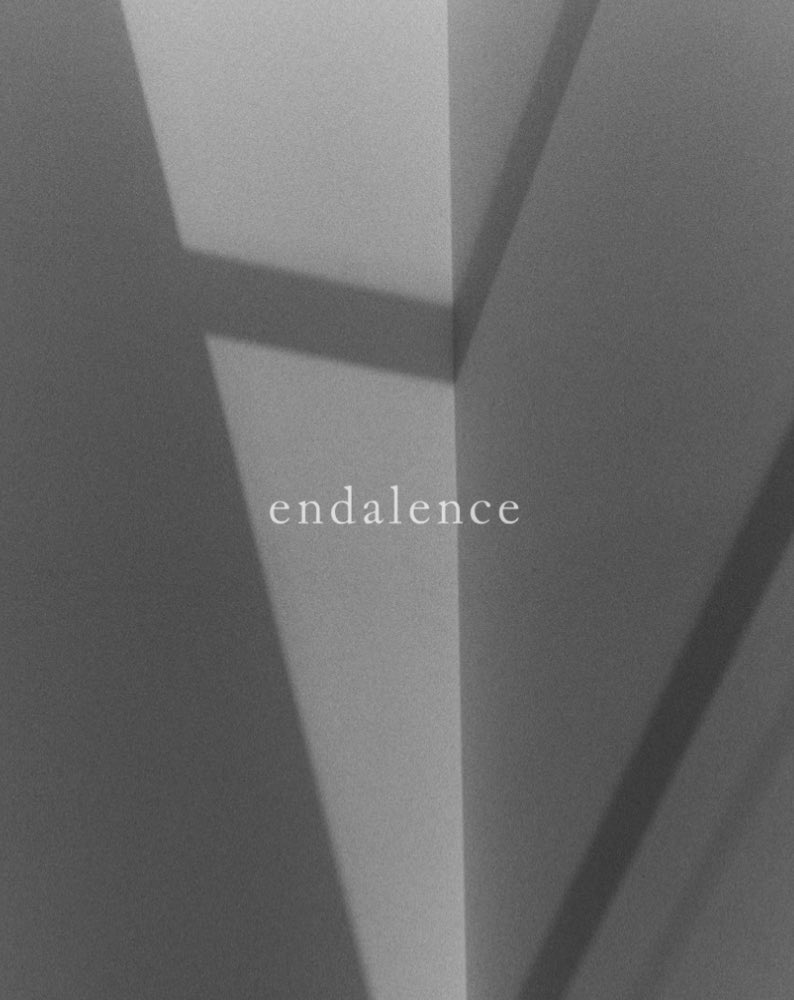 endalenceofficial tweet media