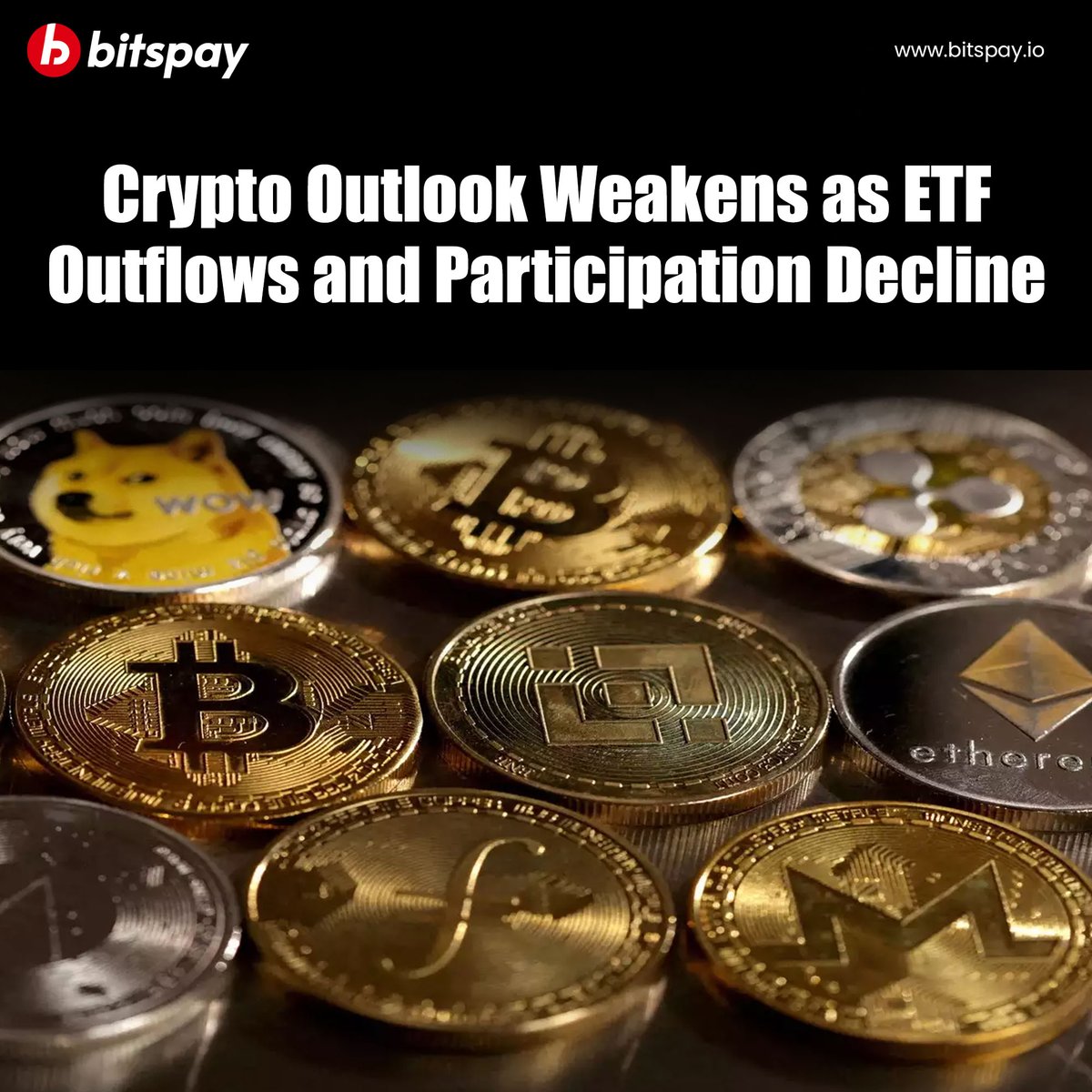 Bitspay tweet media