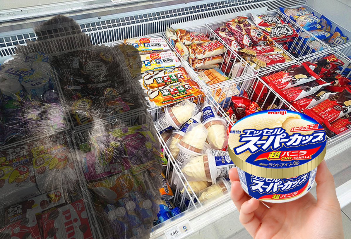 どんべえ tweet media