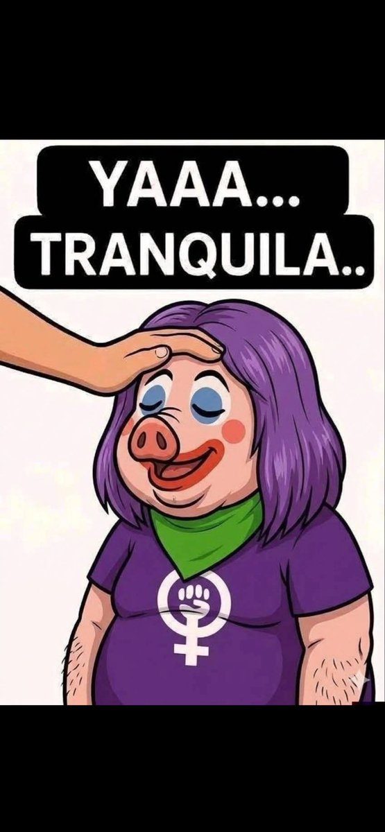 Cris 🇨🇱 tweet media