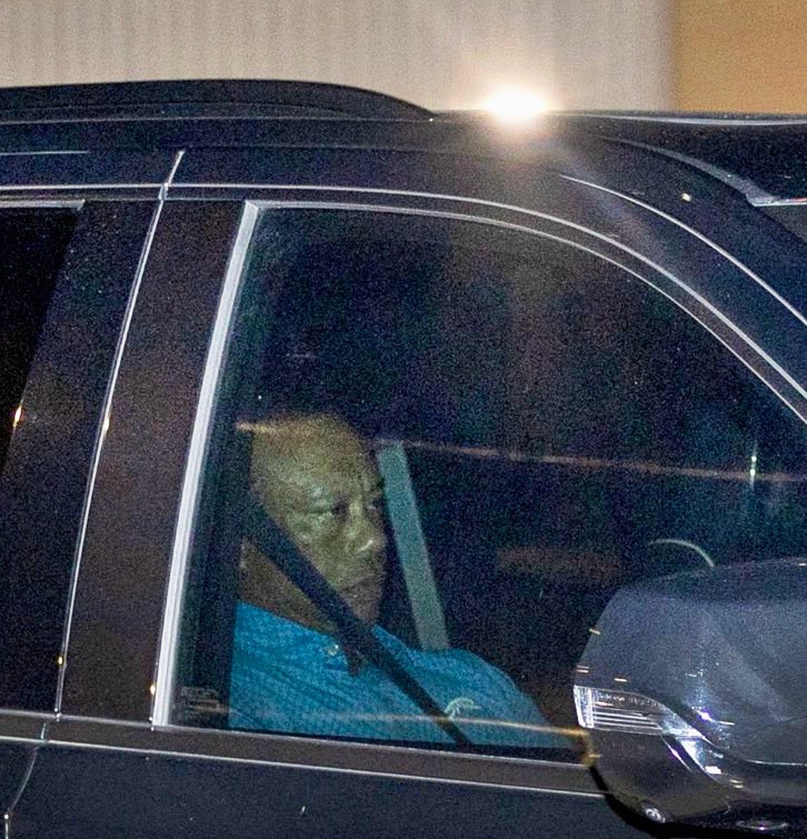 IdeaofThinking's tweet image. Just ask tiger 😉 Go Vols by fity!