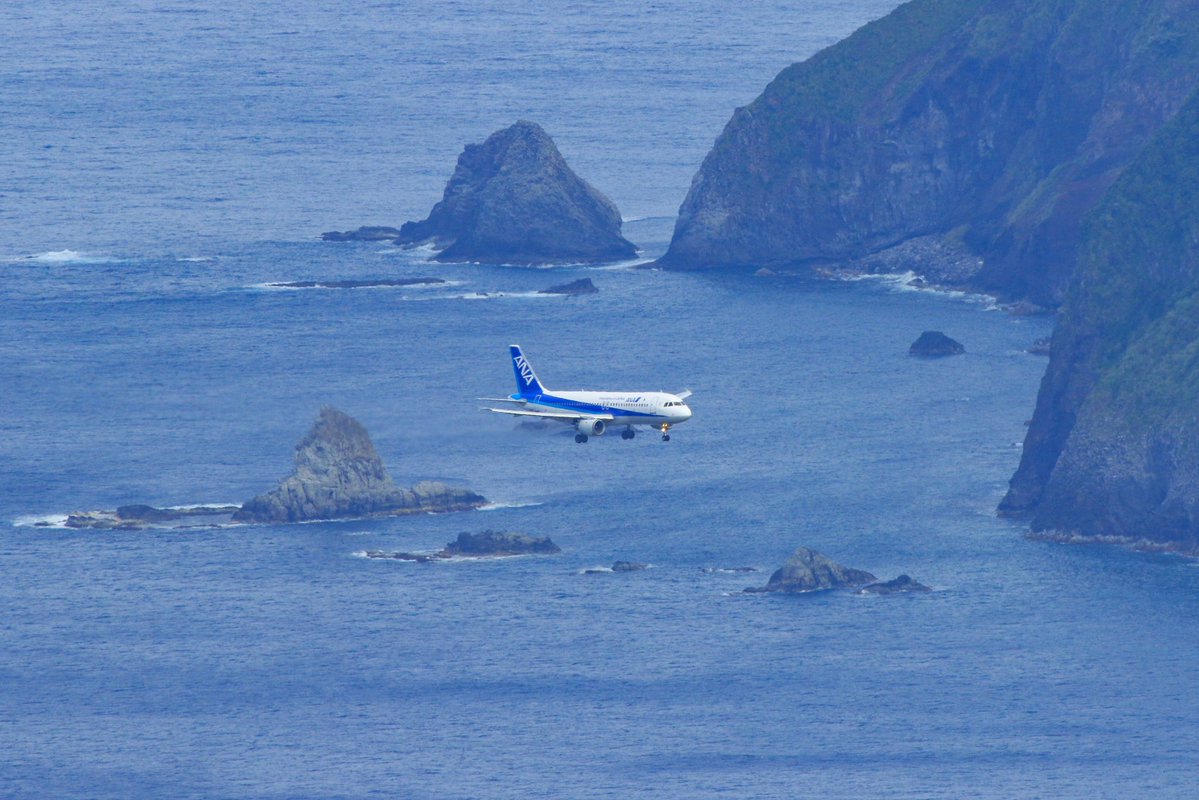 オポッサム tweet media