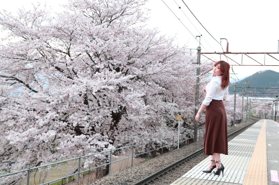 kurowasan11's tweet photo. 2016年桜
モデル　アリーさん https://t.co/ZG1V3KtNWg